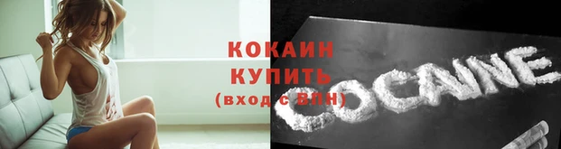 PSILOCYBIN Киреевск