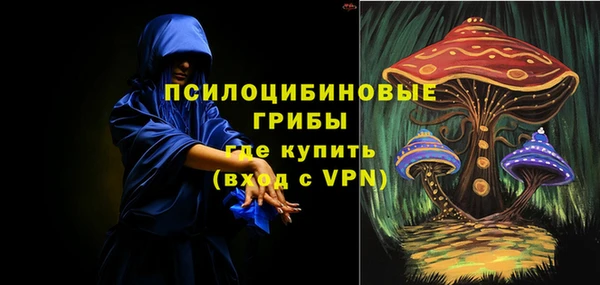 спиды Карталы