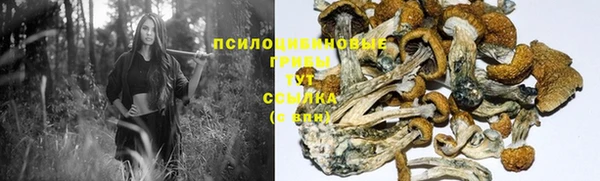 а пвп мука Касимов