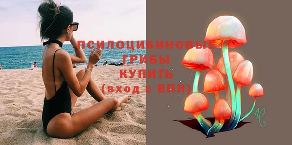спиды Карталы