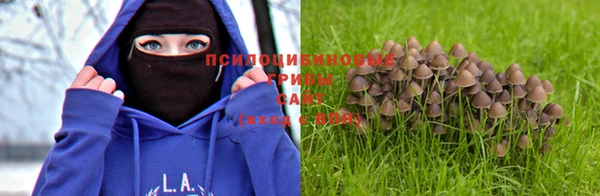 марки nbome Козловка