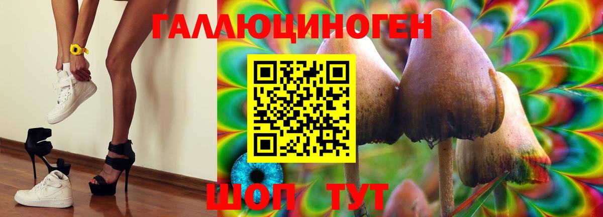 Галлюциногенные грибы GOLDEN TEACHER  Галлюциногенные грибы Cubensis  Кореновск  Вход с VPN 