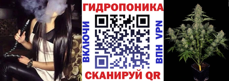 купить наркотики цена  Кореновск  МЕГА зеркало  Конопля AK-47 